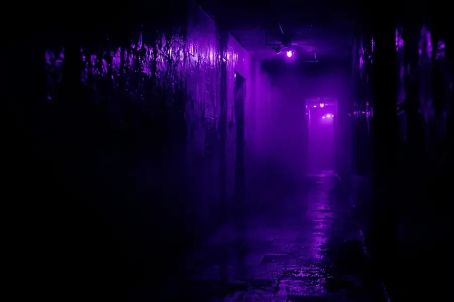悬疑惊悚分类 层层反转，烧脑不断 西瓜影视